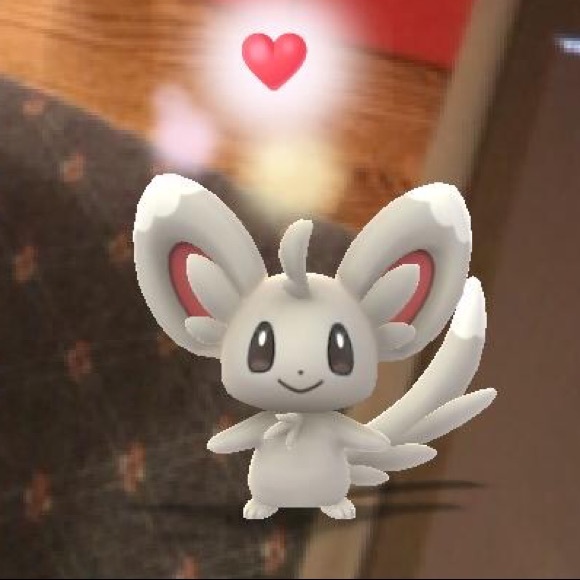 Meet your Posher, Stefanie - Picture 4 of 4